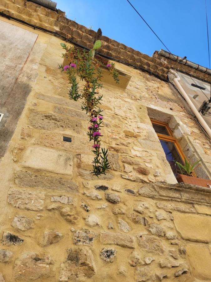 Gites Chez Daniel "Languedoc" Florensac ภายนอก รูปภาพ